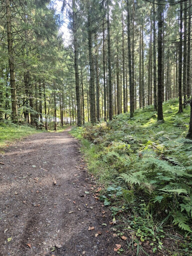 El-kørestolsvenlig natur ved Store Okseø